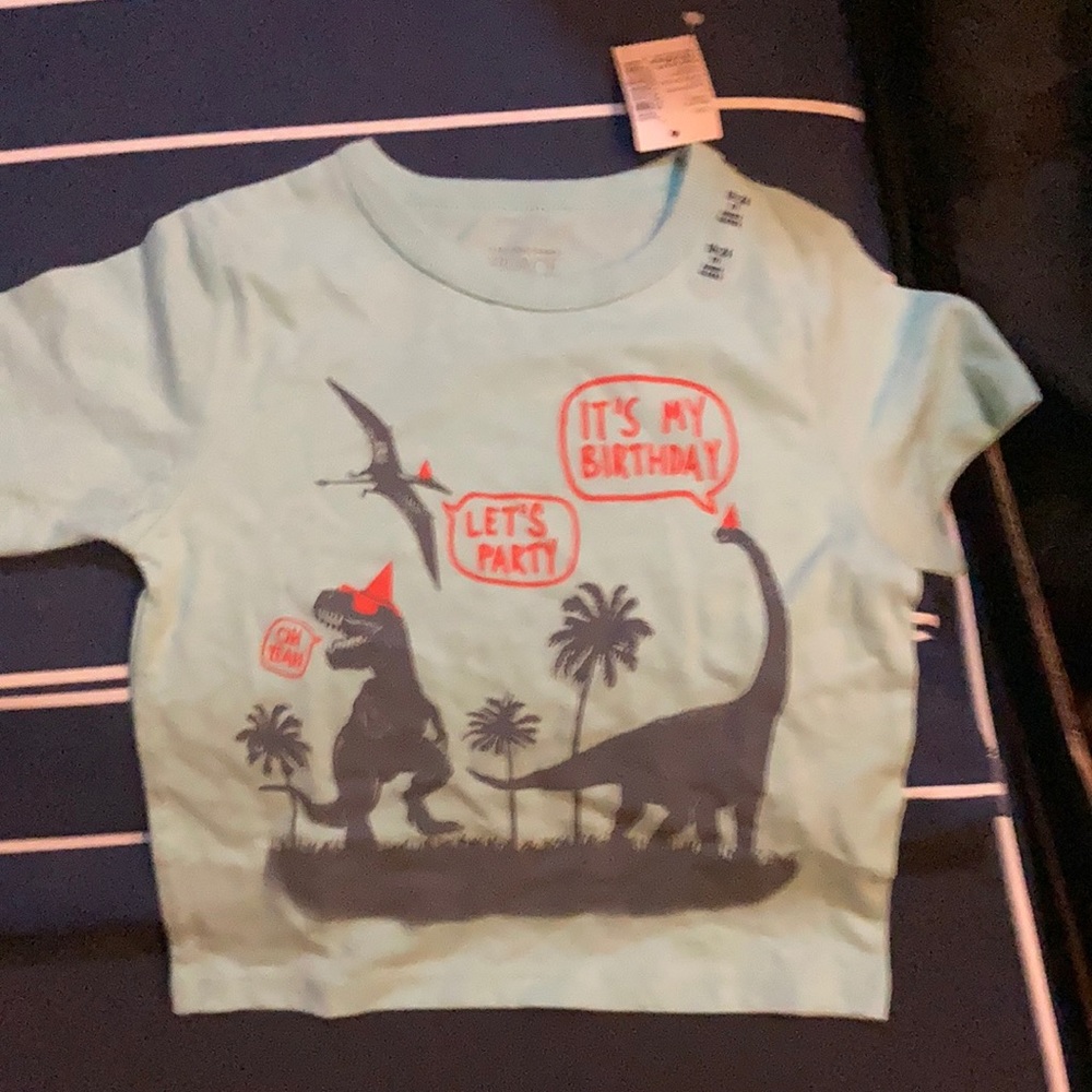 NWT 18-24M The Children’s Place Birthday shirt. Light green brand new